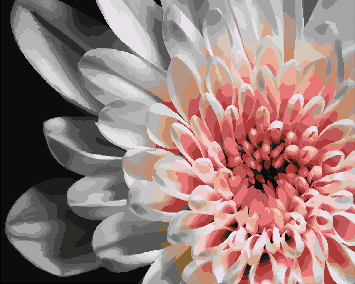 Mal efter tal – Dahlia – mal efter tal 40 x 50 cm