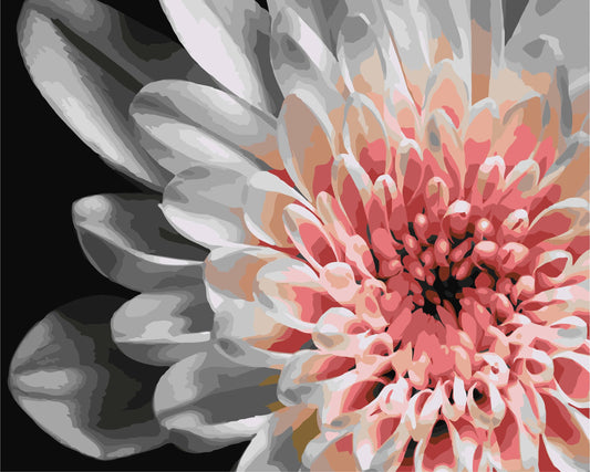 Mal efter tal – Dahlia – mal efter tal 40 x 50 cm